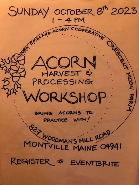 Acorn Harvesting & Processing Workshop: Sunday October 8th 2023 from 1 ...
